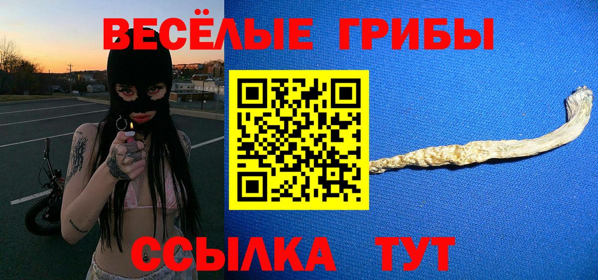 Галлюциногенные грибы Psilocybine cubensis Ивантеевка