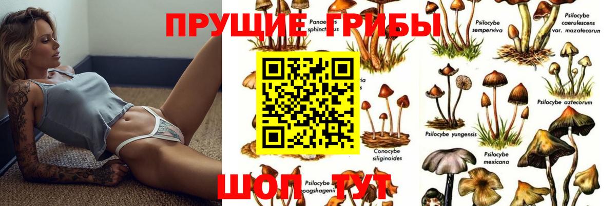 Галлюциногенные грибы GOLDEN TEACHER  Вход с VPN  Ивантеевка 